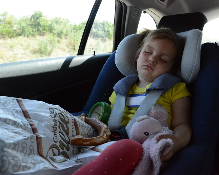 Greta conked out.JPG